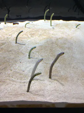 すみだ水族館に投稿された画像（2021/11/2）