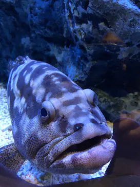 すみだ水族館に投稿された画像（2021/11/2）