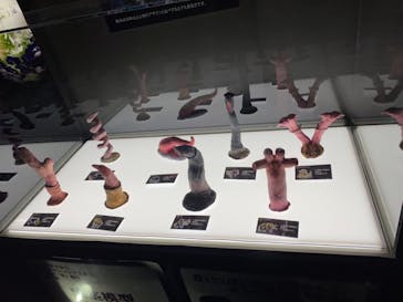 サンシャイン水族館に投稿された画像（2021/11/2）