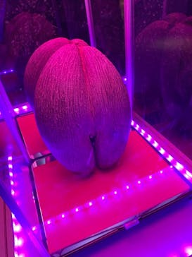 サンシャイン水族館に投稿された画像（2021/11/2）