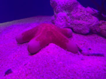 サンシャイン水族館に投稿された画像（2021/11/2）