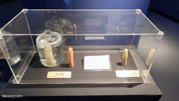 サンシャイン水族館に投稿された画像（2021/11/2）