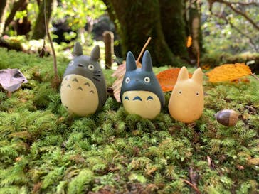 屋久島ガイド21EC-Kに投稿された画像（2021/11/2）