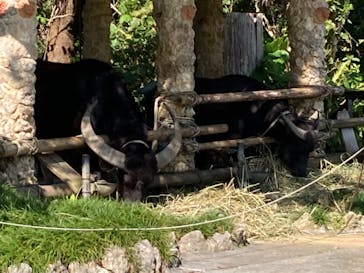 ビオスの丘に投稿された画像（2021/11/3）