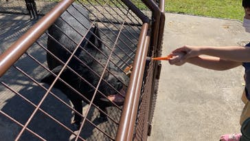 ビオスの丘に投稿された画像（2021/11/3）