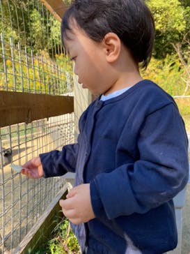 しろとり動物園に投稿された画像（2021/11/3）