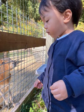 しろとり動物園に投稿された画像（2021/11/3）