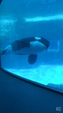 名古屋港水族館に投稿された画像（2021/11/3）