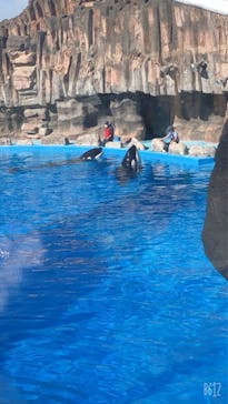 名古屋港水族館に投稿された画像（2021/11/3）
