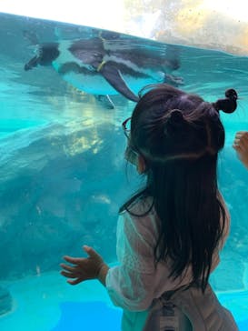 よこはま動物園ズーラシアに投稿された画像（2021/11/3）