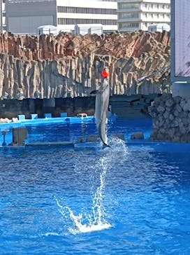 名古屋港水族館に投稿された画像（2021/11/3）