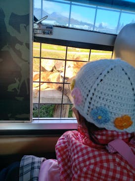 那須サファリパークに投稿された画像（2021/11/3）