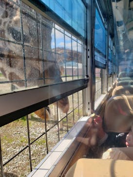 那須サファリパークに投稿された画像（2021/11/3）