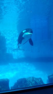 名古屋港水族館に投稿された画像（2021/11/3）