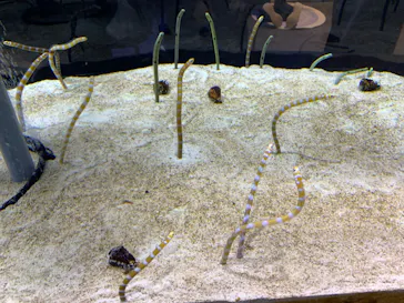 すみだ水族館に投稿された画像（2021/11/3）