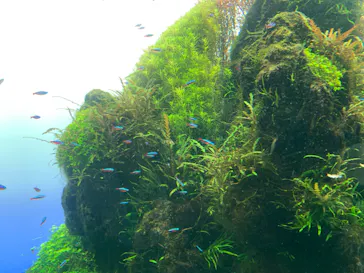 すみだ水族館に投稿された画像（2021/11/3）