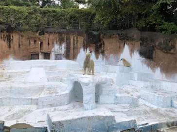 天王寺動物園に投稿された画像（2021/11/3）