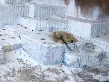 天王寺動物園に投稿された画像（2021/11/3）