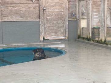 名古屋港水族館に投稿された画像（2021/11/3）