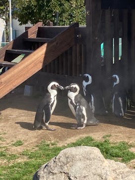 名古屋港水族館に投稿された画像（2021/11/3）