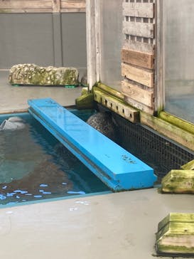 名古屋港水族館に投稿された画像（2021/11/3）