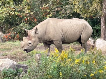 よこはま動物園ズーラシアに投稿された画像（2021/11/3）