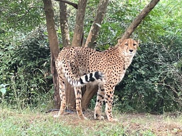 よこはま動物園ズーラシアに投稿された画像（2021/11/3）