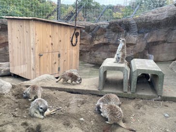 よこはま動物園ズーラシアに投稿された画像（2021/11/3）