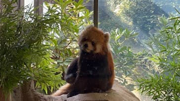 よこはま動物園ズーラシアに投稿された画像（2021/11/3）