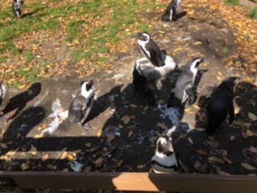 那須どうぶつ王国に投稿された画像（2021/11/3）