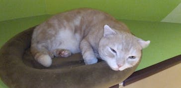 Moff animal world MARK IS みなとみらい店に投稿された画像（2021/11/3）