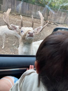 那須サファリパークに投稿された画像（2021/11/3）