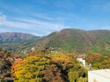 彫刻の森美術館に投稿された画像（2021/11/3）