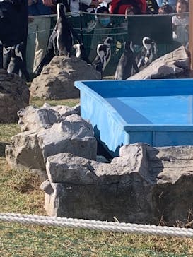 名古屋港水族館に投稿された画像（2021/11/3）