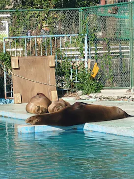 天王寺動物園に投稿された画像（2021/11/3）