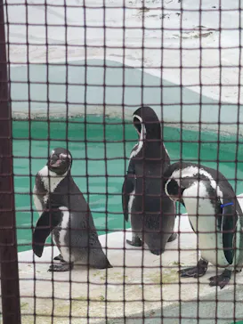 天王寺動物園に投稿された画像（2021/11/3）