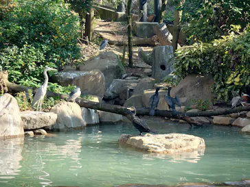 天王寺動物園に投稿された画像（2021/11/3）