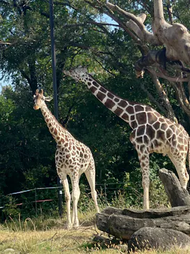 天王寺動物園に投稿された画像（2021/11/3）
