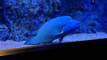 すみだ水族館に投稿された画像（2021/11/3）