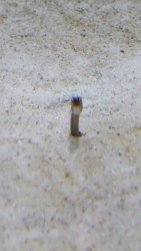 すみだ水族館に投稿された画像（2021/11/3）