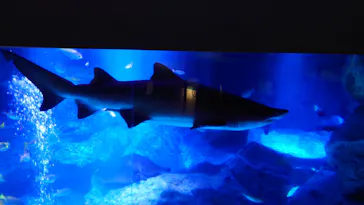 すみだ水族館に投稿された画像（2021/11/3）