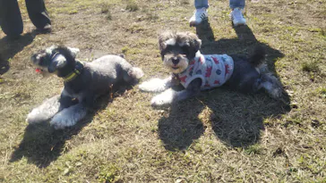 わんダフルネイチャーヴィレッジに投稿された画像（2021/11/3）