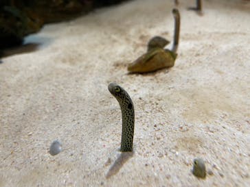 鴨川シーワールドに投稿された画像（2021/11/3）