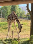 天王寺動物園に投稿された画像（2021/11/3）