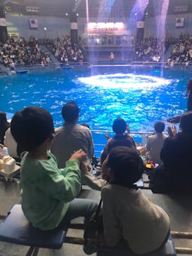 マクセル アクアパーク品川に投稿された画像（2021/11/3）