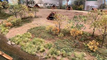 特別展「縄文2021―東京に生きた縄文人―」(江戸東京博物館）に投稿された画像（2021/11/3）