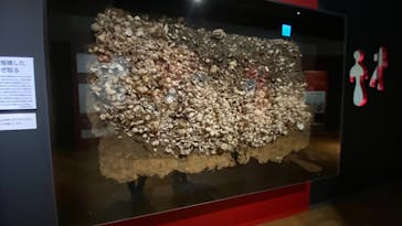 特別展「縄文2021―東京に生きた縄文人―」(江戸東京博物館）に投稿された画像（2021/11/3）
