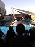 名古屋港水族館に投稿された画像（2021/11/3）