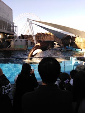 名古屋港水族館に投稿された画像（2021/11/3）