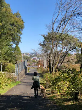 わんダフルネイチャーヴィレッジに投稿された画像（2021/11/3）